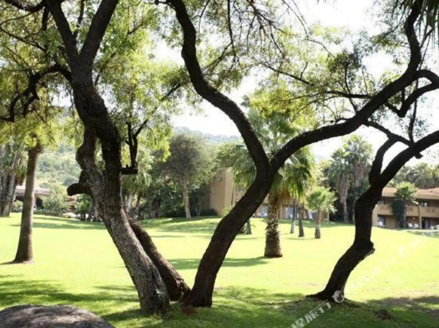 Sun City Resort