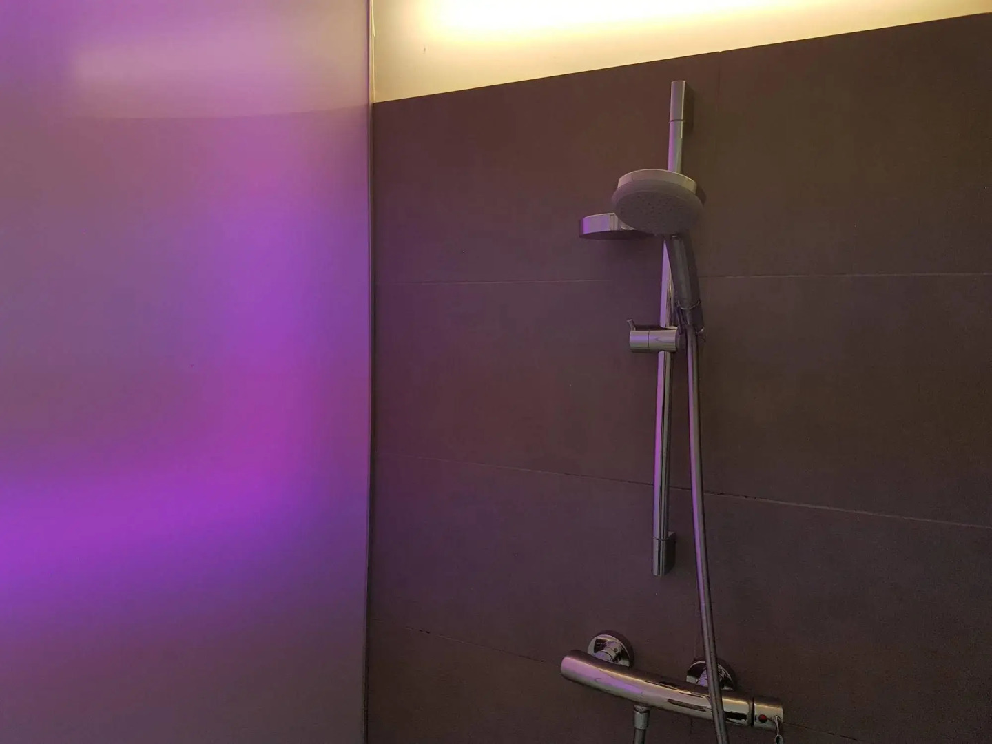 RheinRiver Guesthouse - Direkt am Rhein