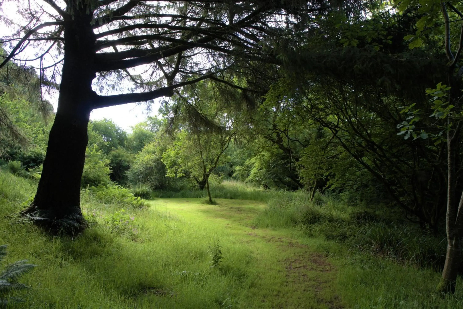 Ta Mill Holiday Cottages & Lodges - Forge Cottage
