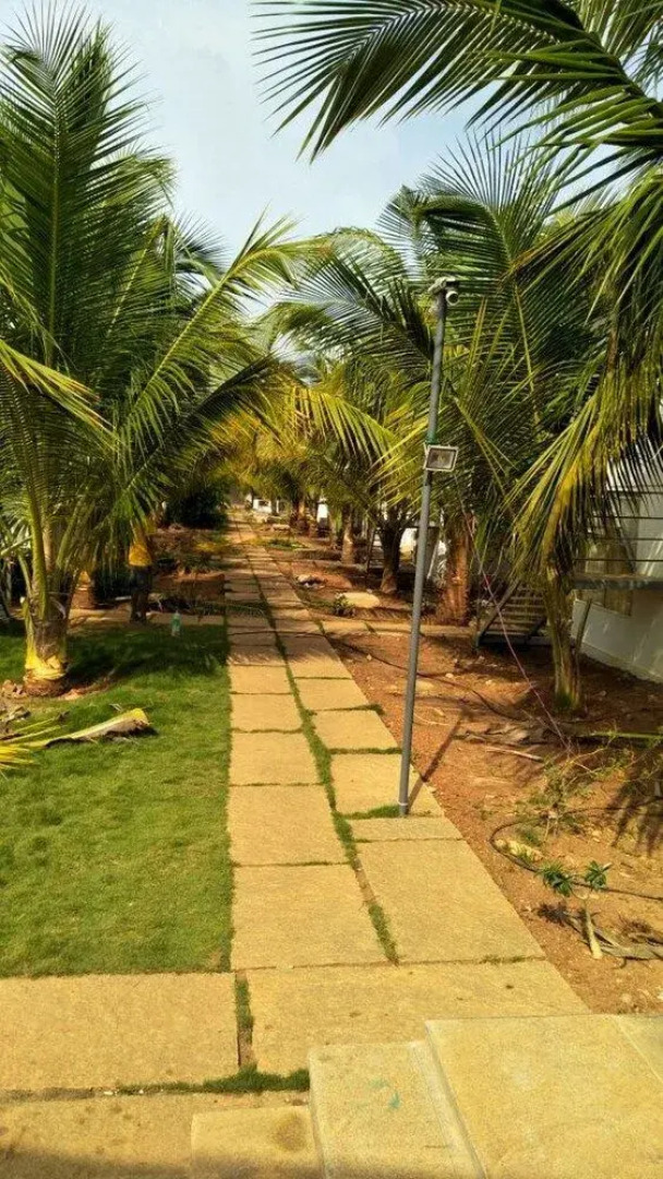 Thamarai Resort Auroville