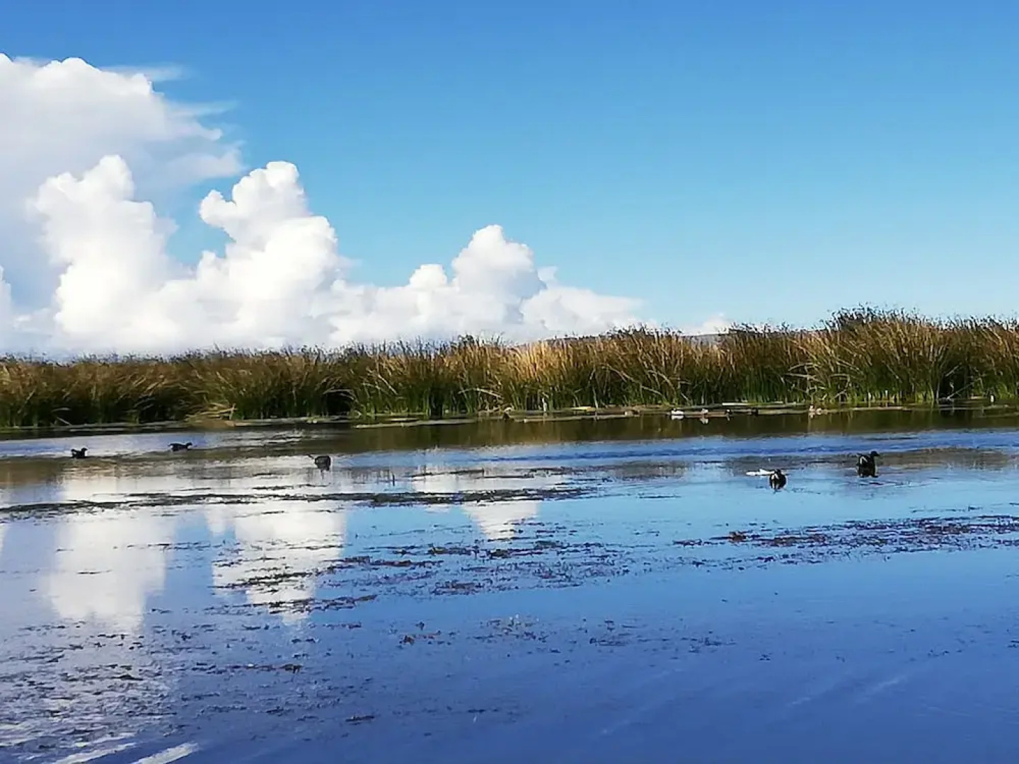 Room in Guest Room - Lucsay Habitacion Vista Al Amanecer No 1