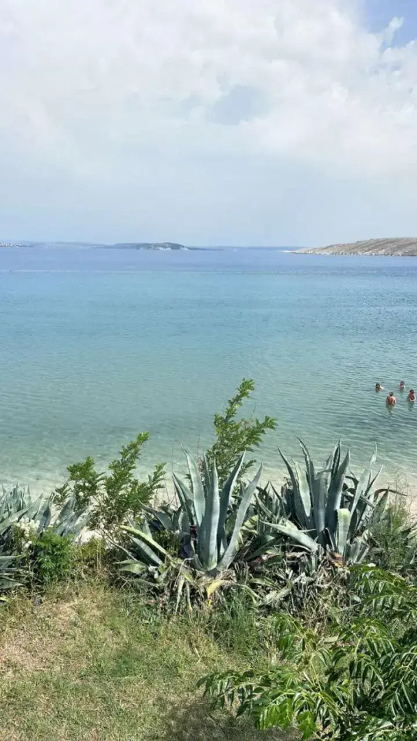 Pag Vlasici