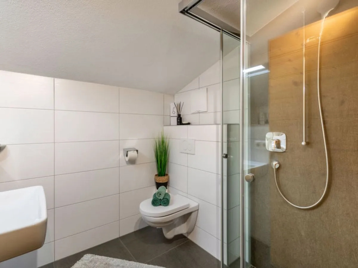 Apartment Hocheben Ramsau im Zillertal