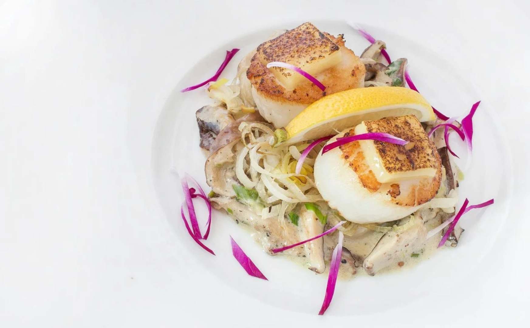 Hôtel Palace Royal Centre-Ville par JARO