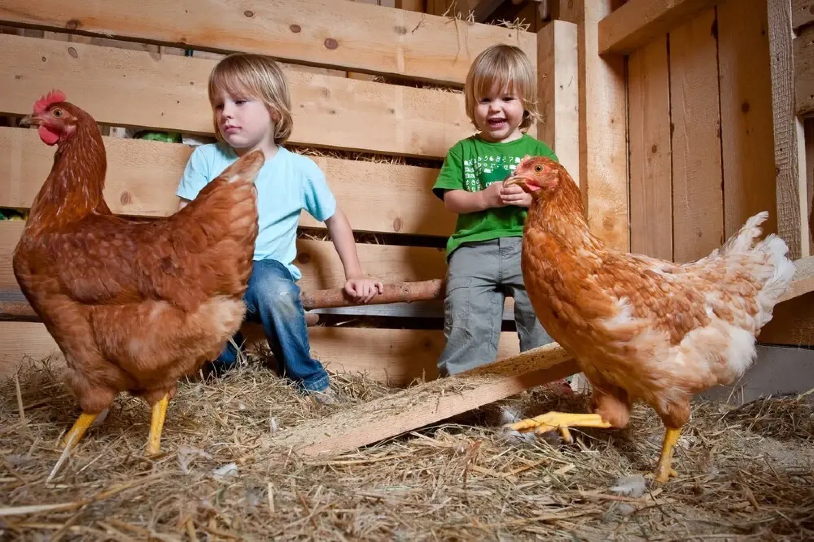JUFA Hotel Tieschen - Bio Landerlebnis