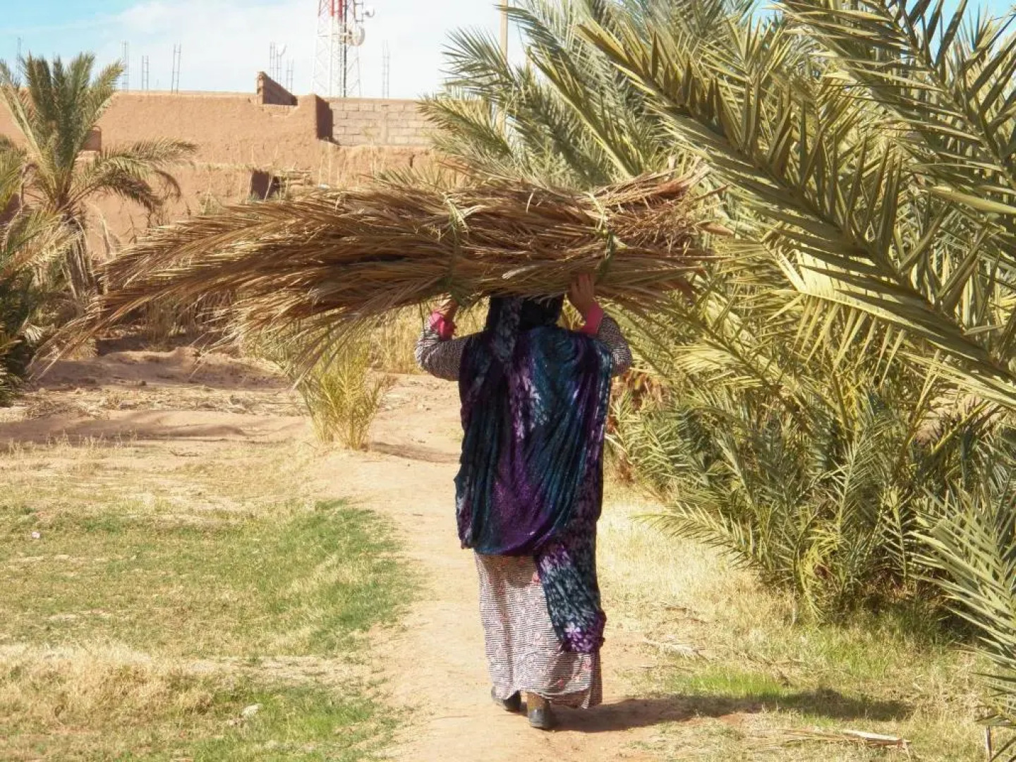 Camping Les Palmeraies