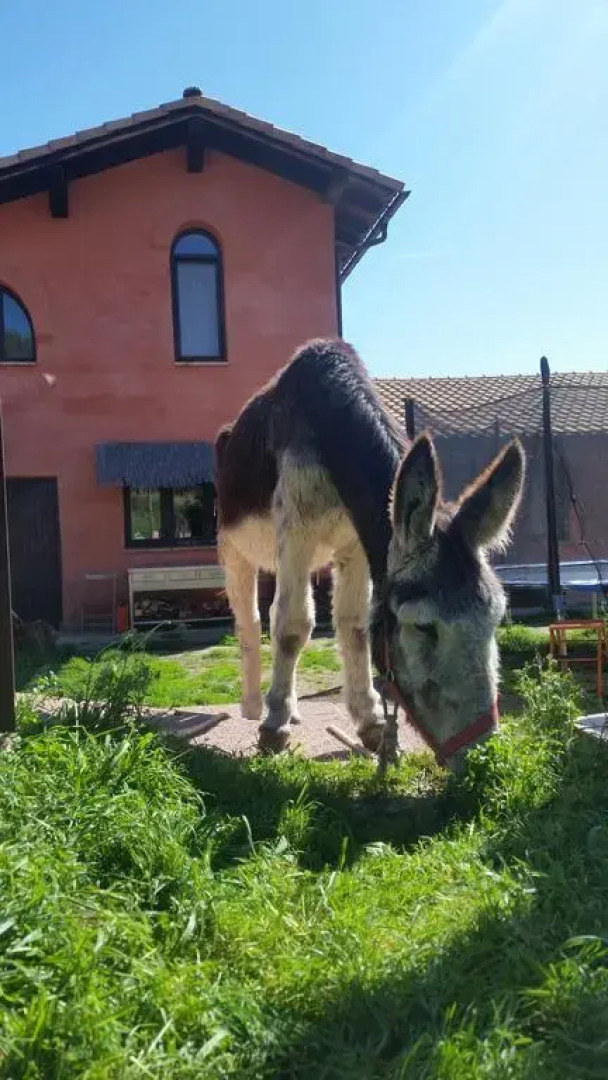 Hostal Rural Casa Pedro