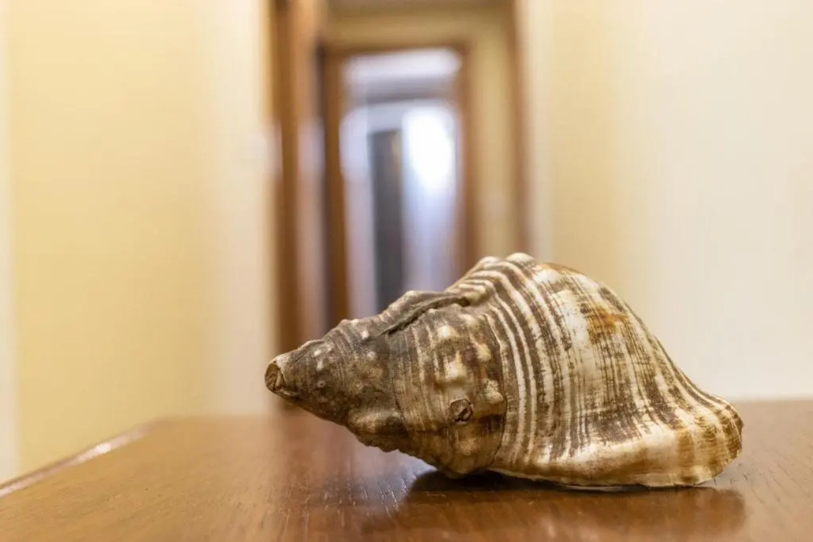 Confortable piso en Lekeitio, a 7 minutos de la playa