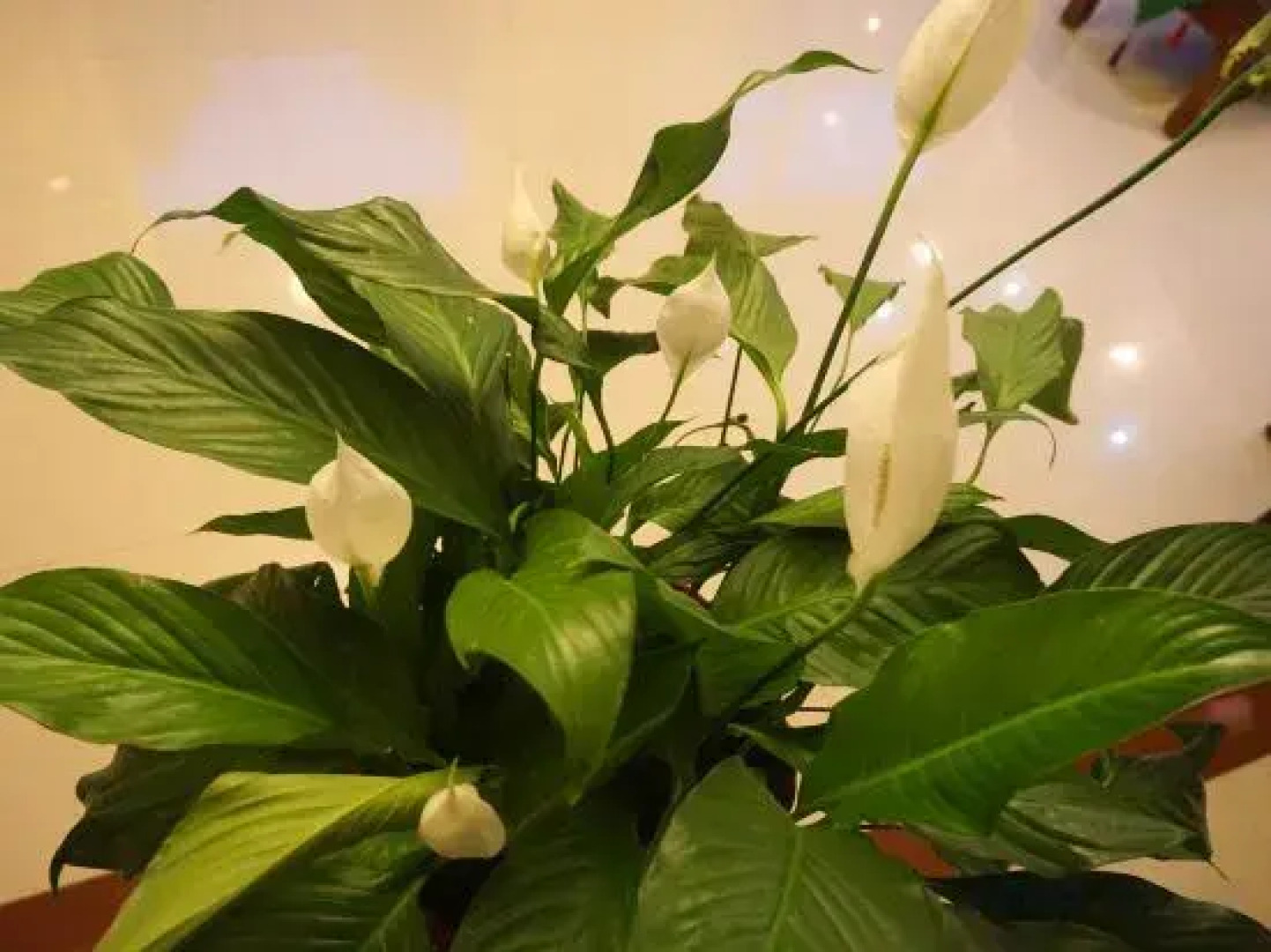 Shanglan Boutique Inn