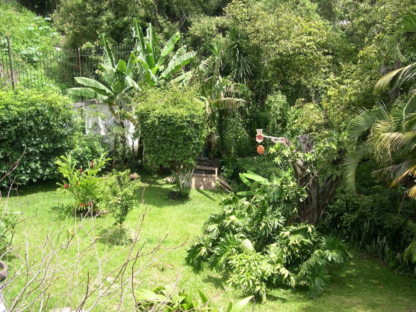 The Cariari Bed and Breakfast