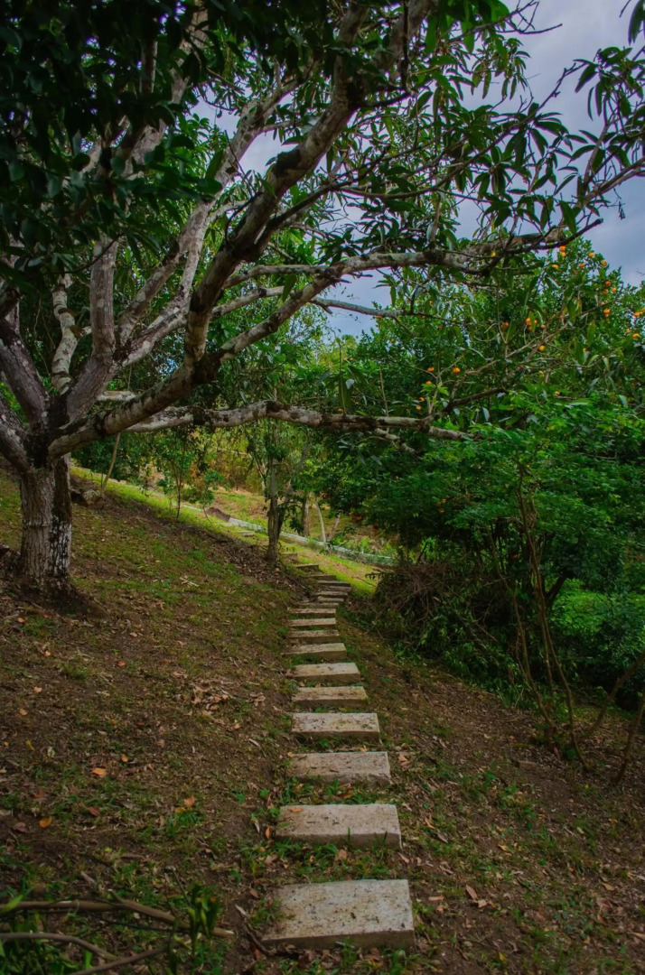 Welcome Home 15 casa campestre Anapoima