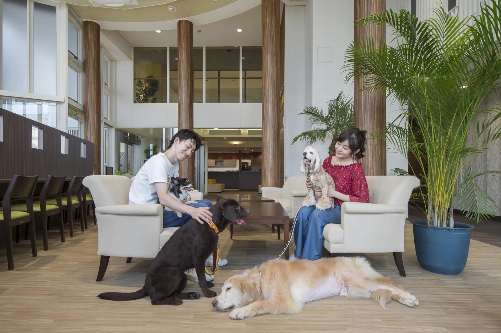 Izukogen Wanwan Paradise Condominium