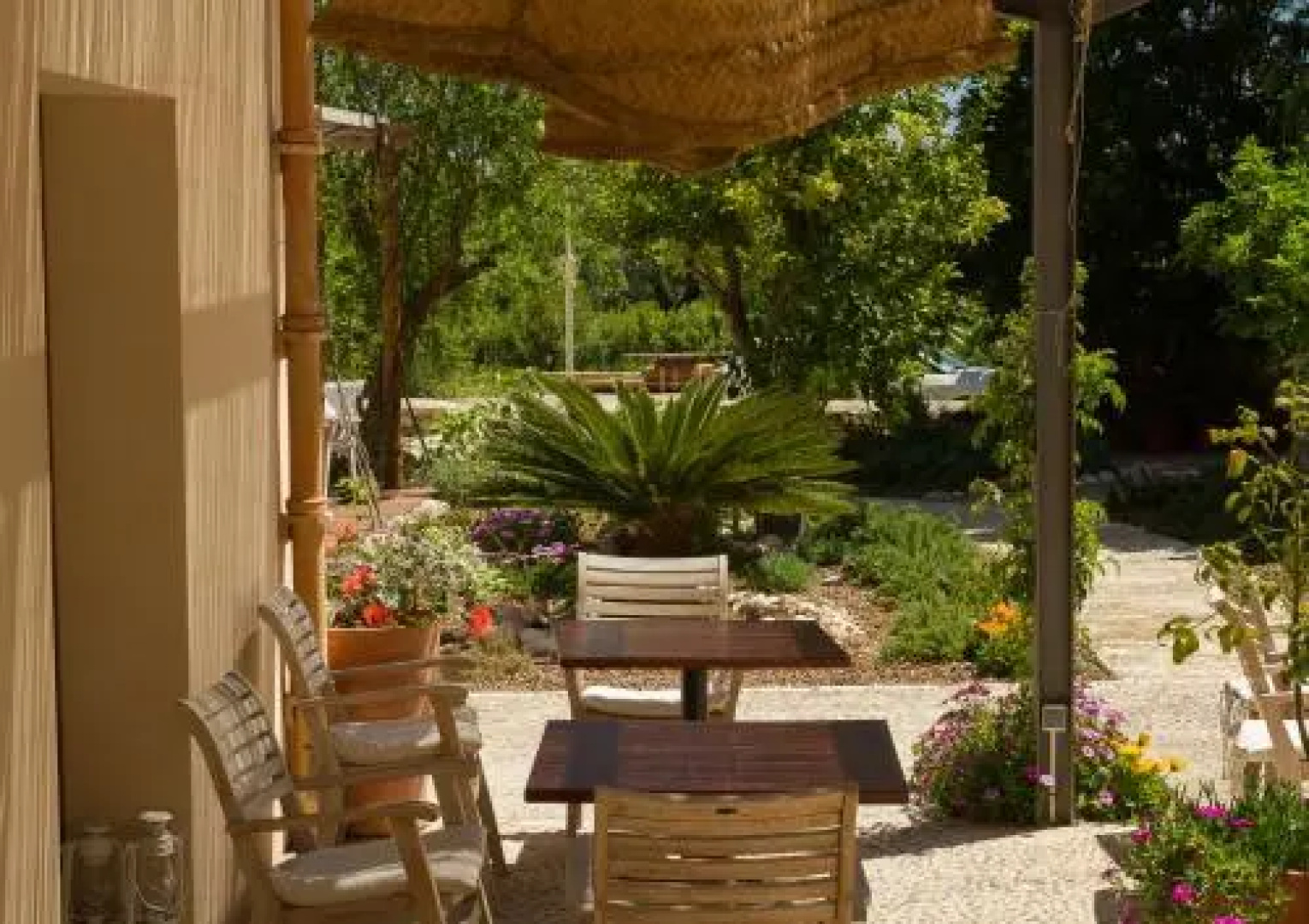 Hotel The Pink Pepper Tree