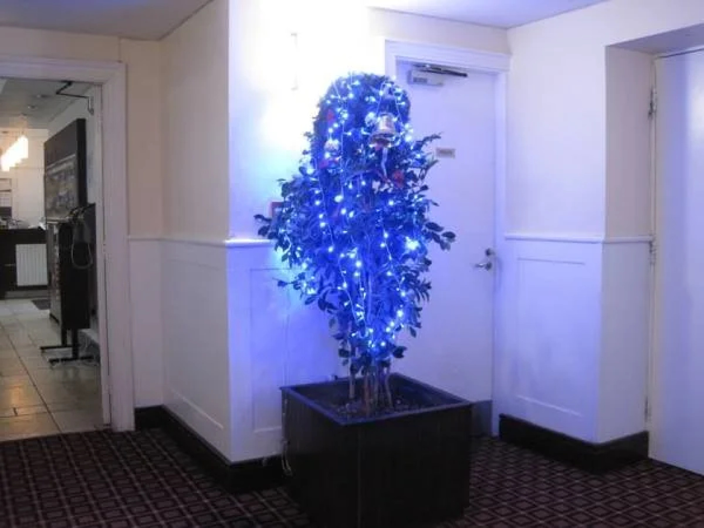 Ashbourne House Hotel