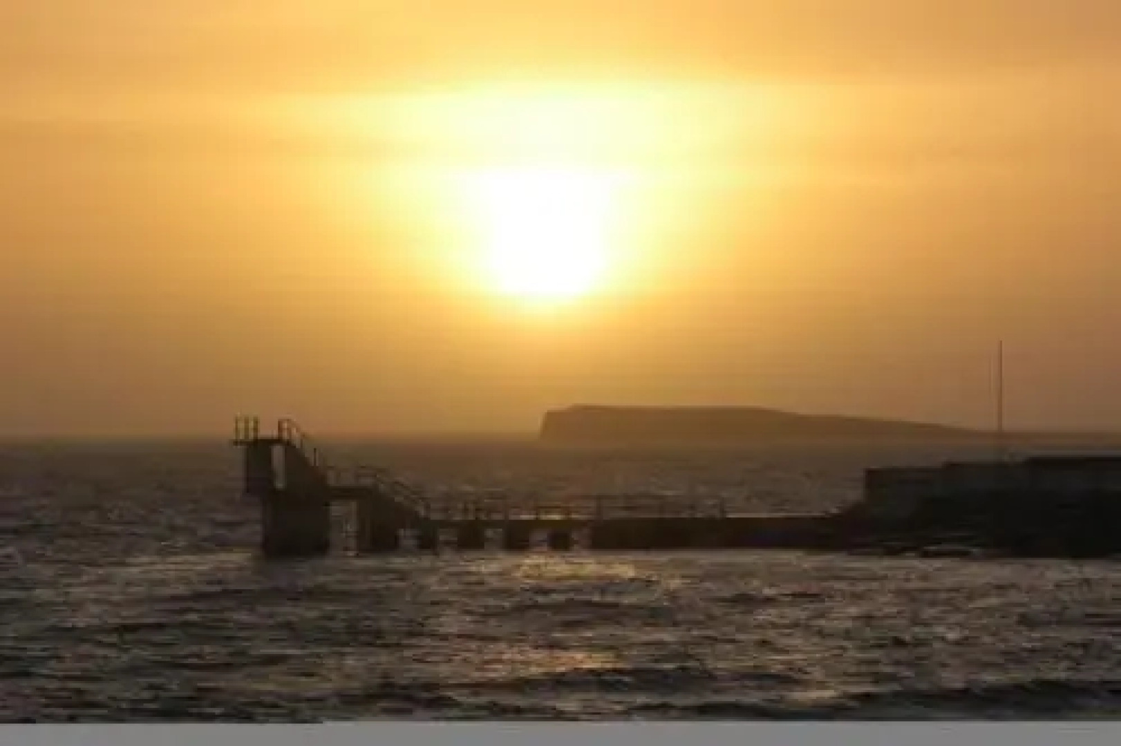 Blackcat (Adults only)