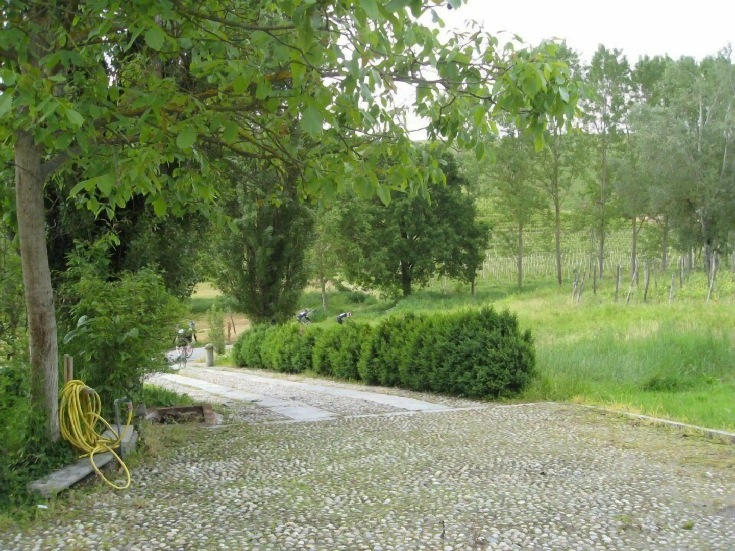 Agriturismo il Buonvicino