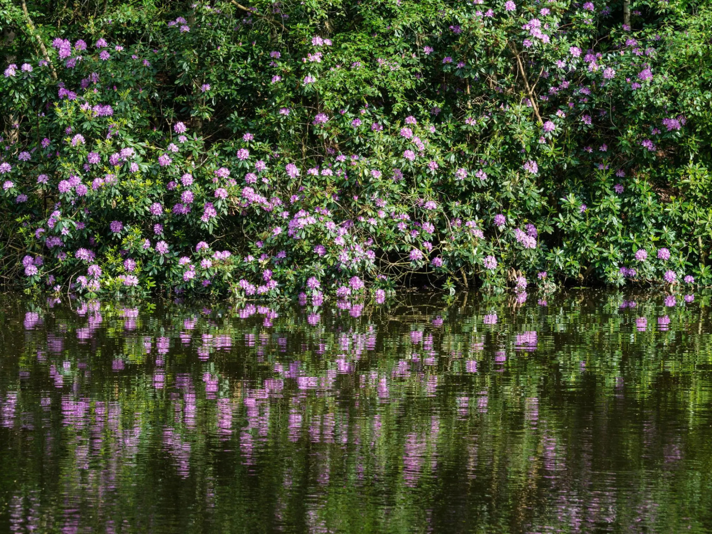 Gorgeous Villa in Bergentheim with Sauna
