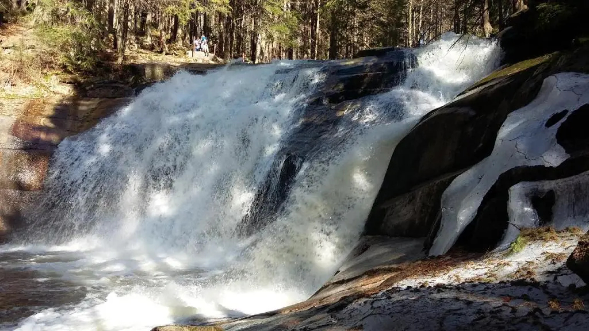 Harrachov Resident Apartments with Terrace
