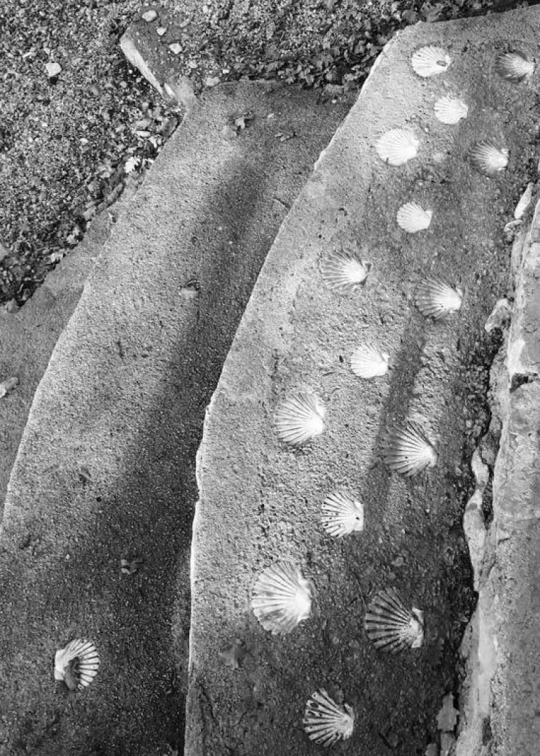 Seaside Vacation Rental 4Tuna