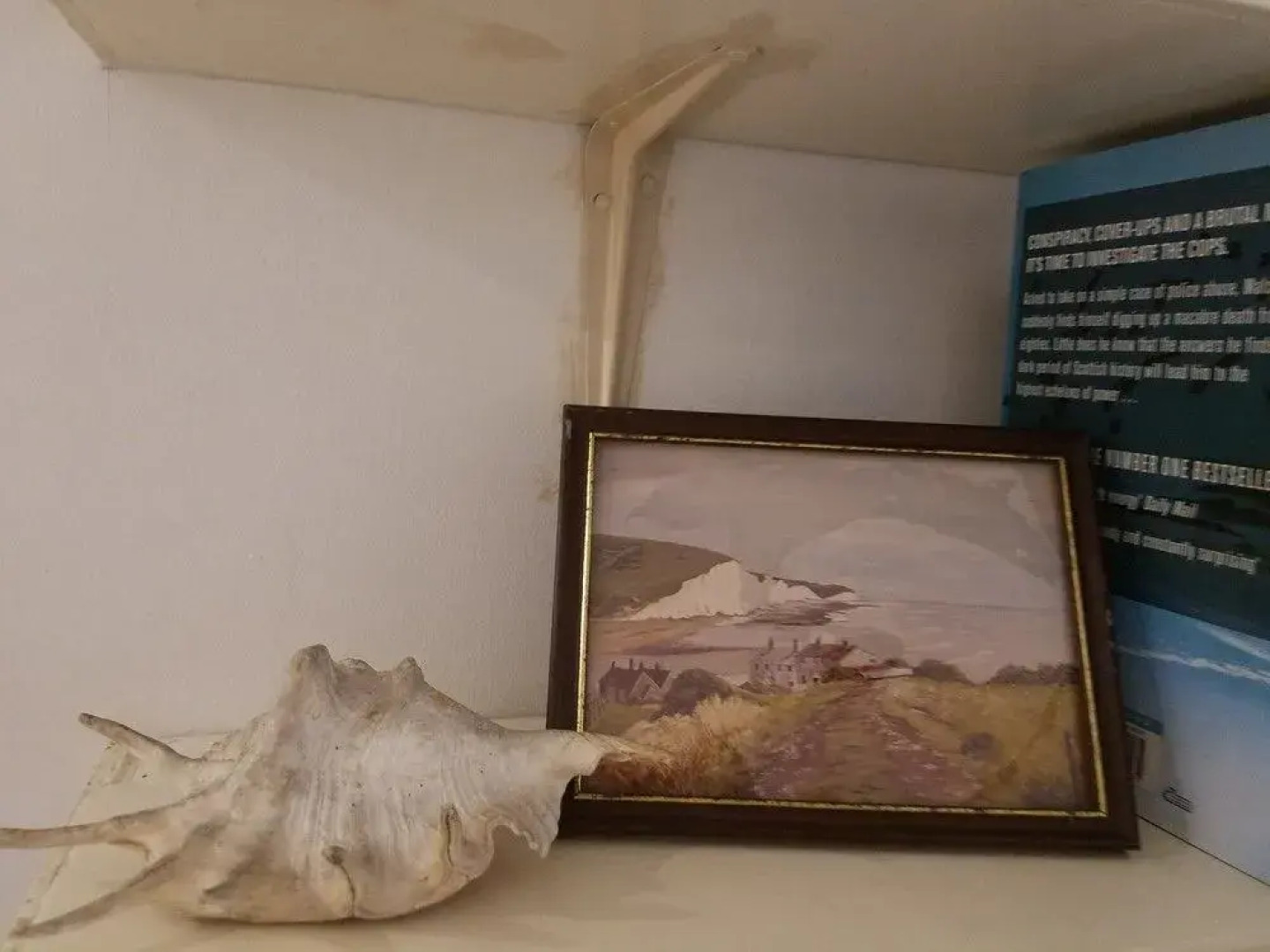 Skylab213B Bed & Breakfast