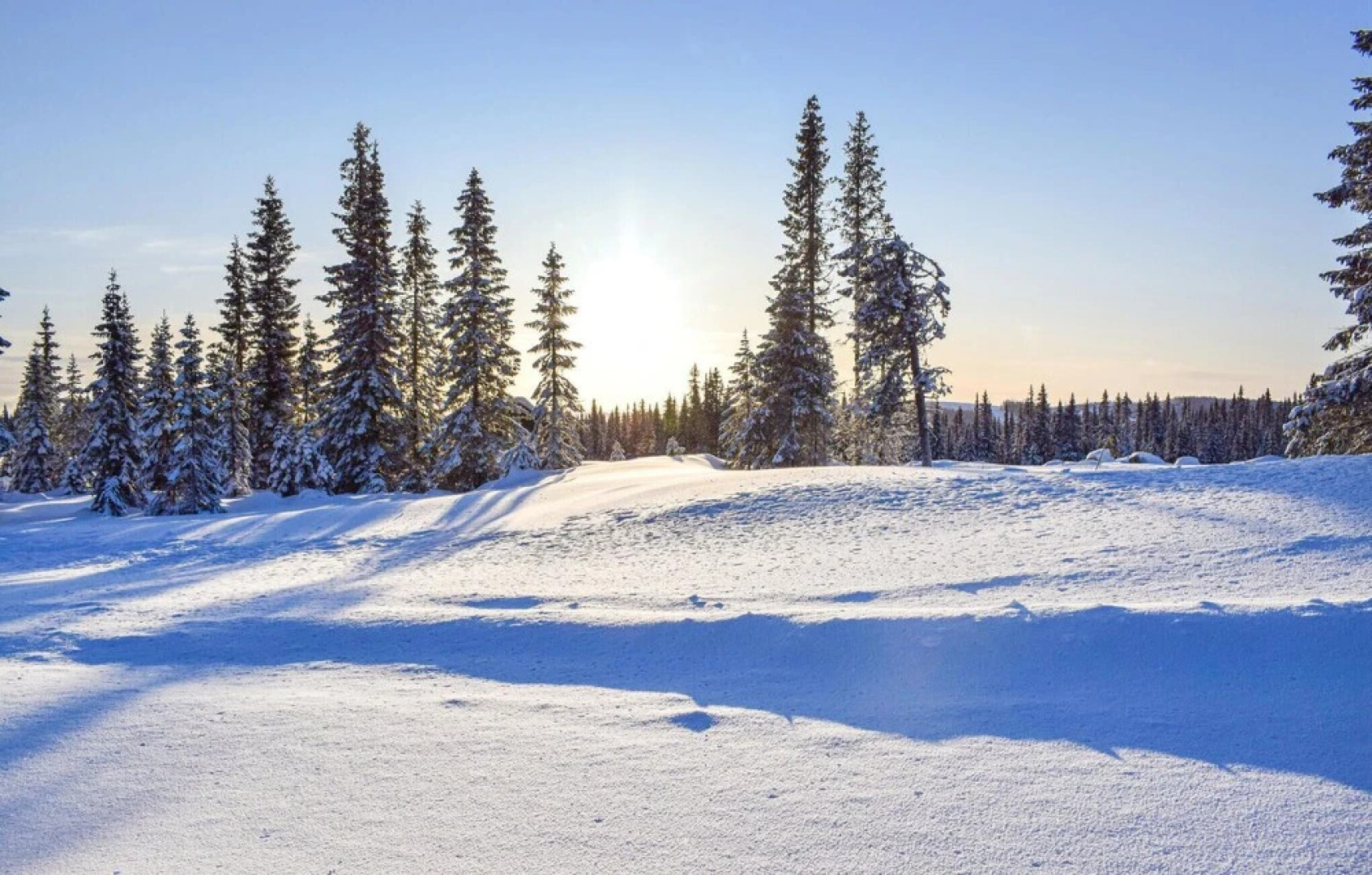 Amazing Home in Lillehammer With 3 Bedrooms and Wifi