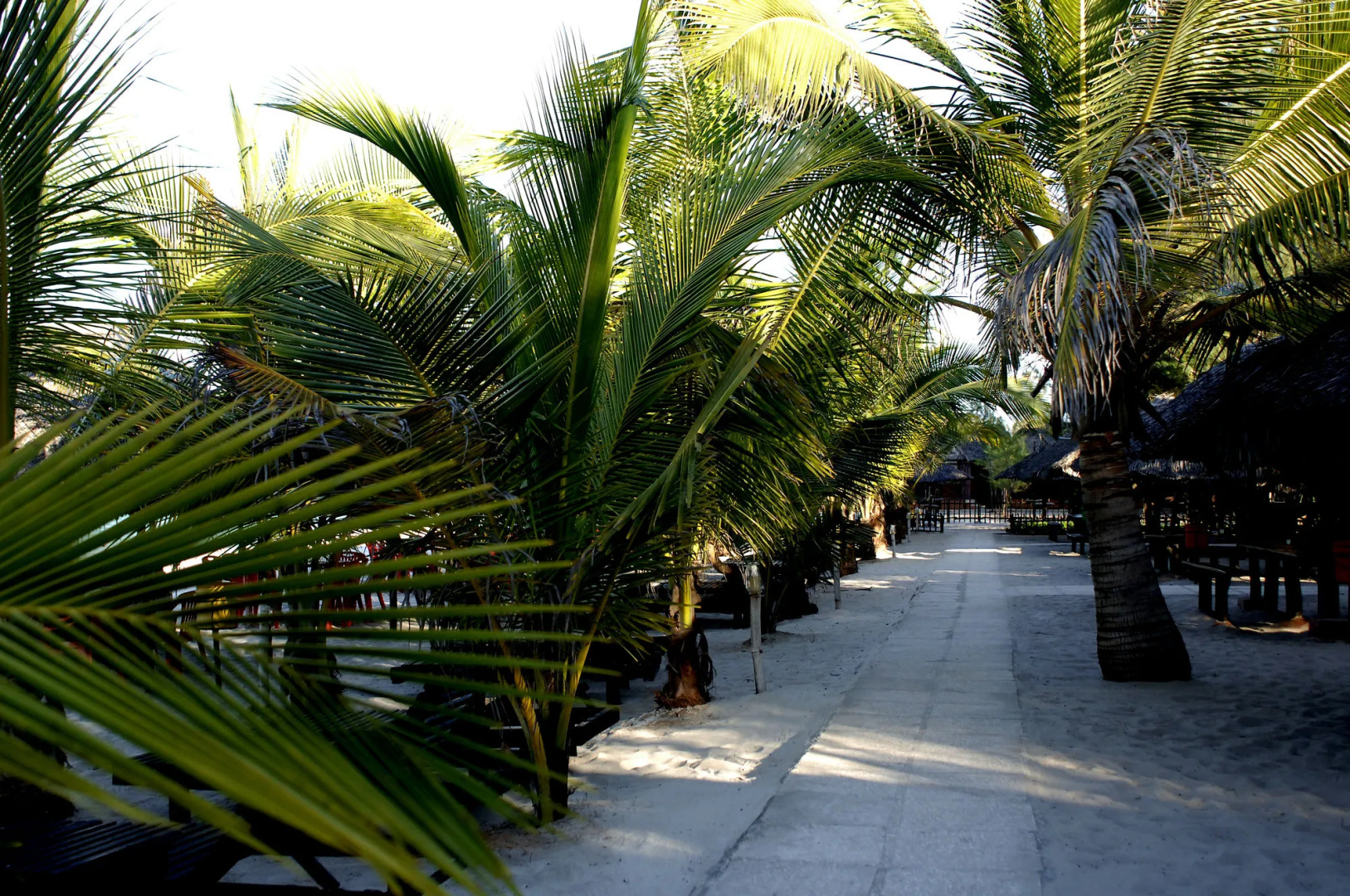 Sunrise Beach Resort