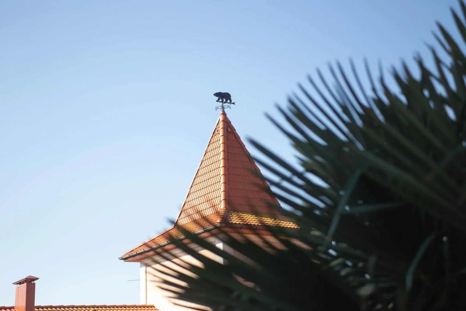 Большая Медведица