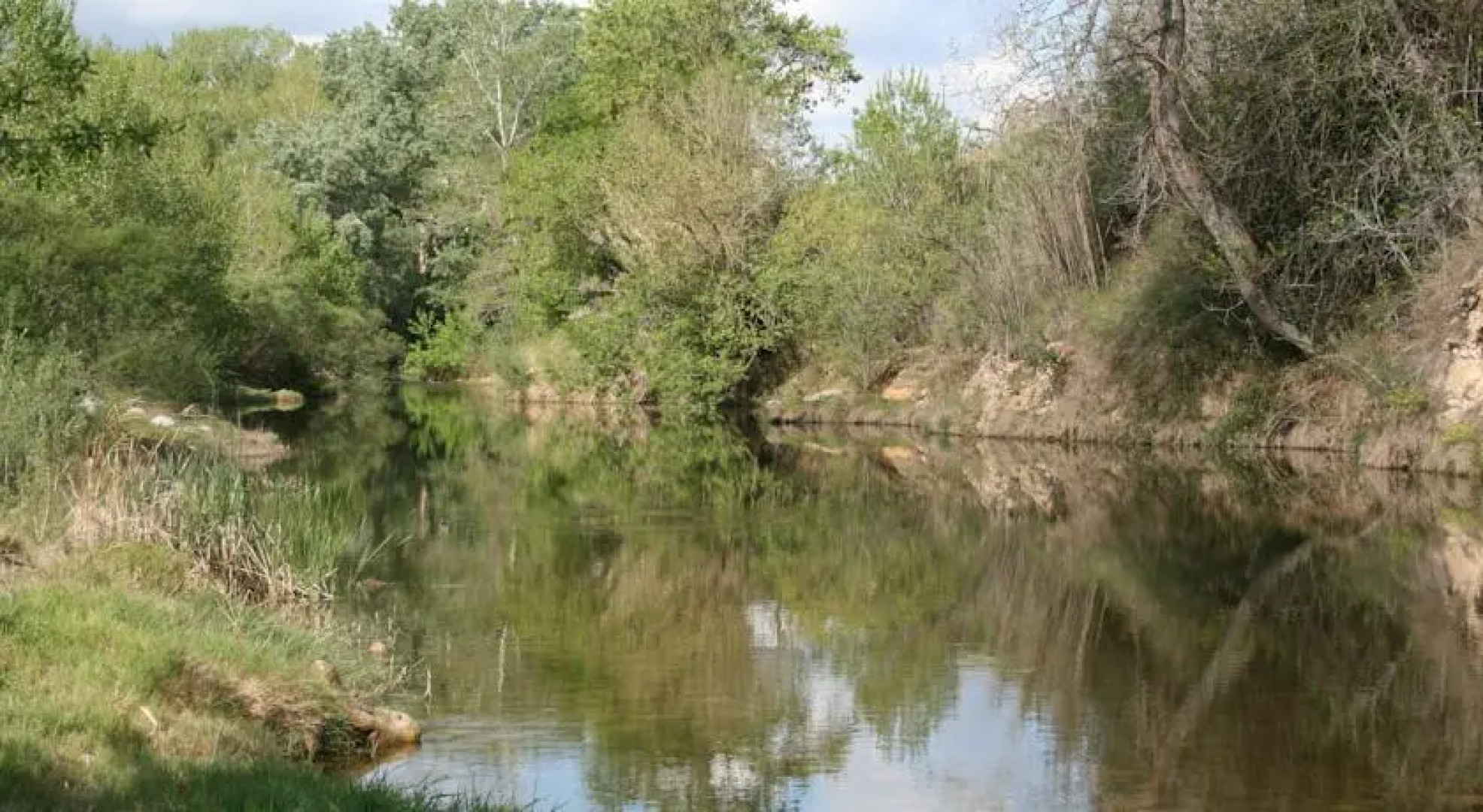 El Paller de Can Ribes