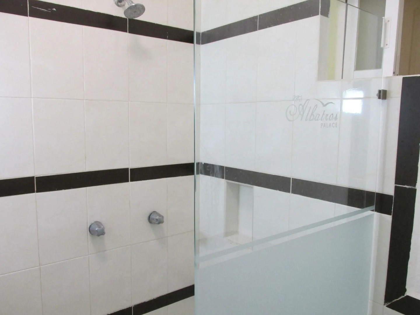 Hotel Albatros Palace