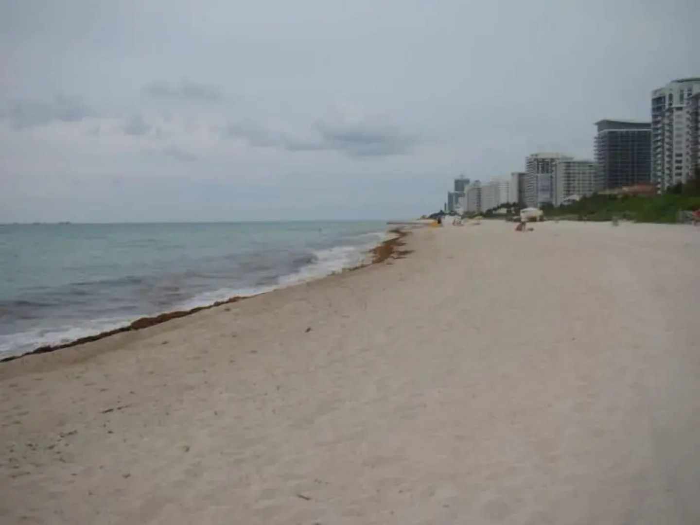 Casablanca by Design Suites Miami