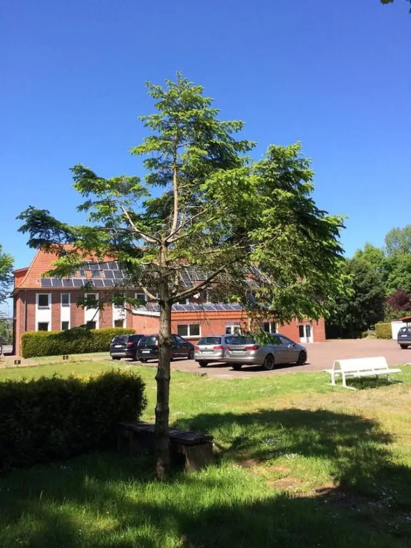 Boardinghaus Georgsheil