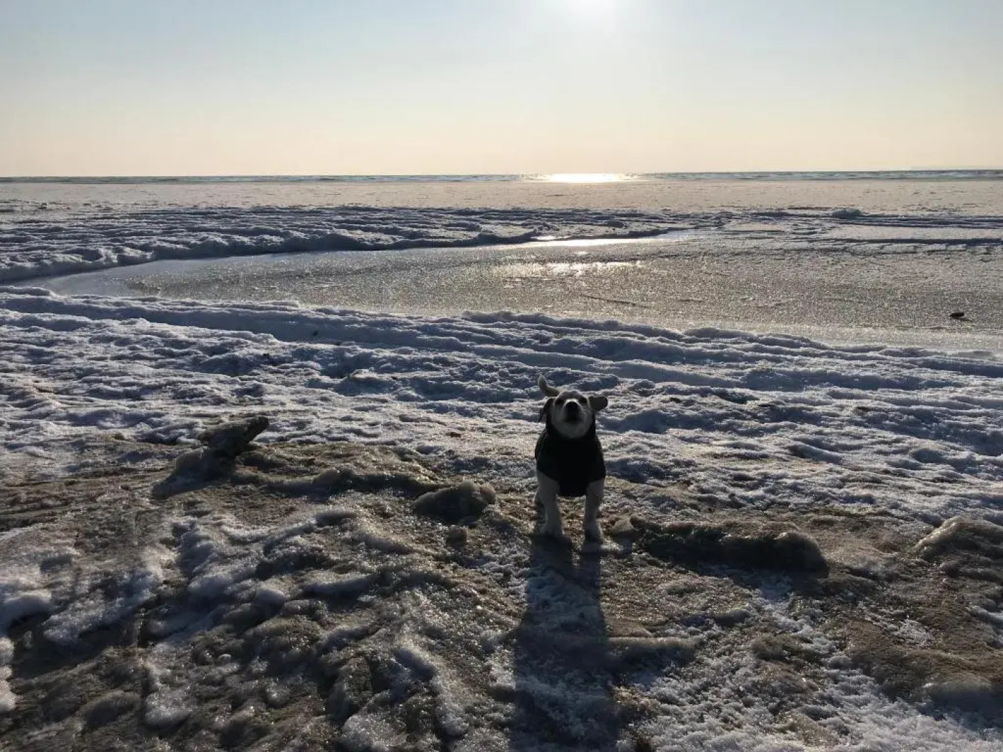 Schäferkate Sierksdorf