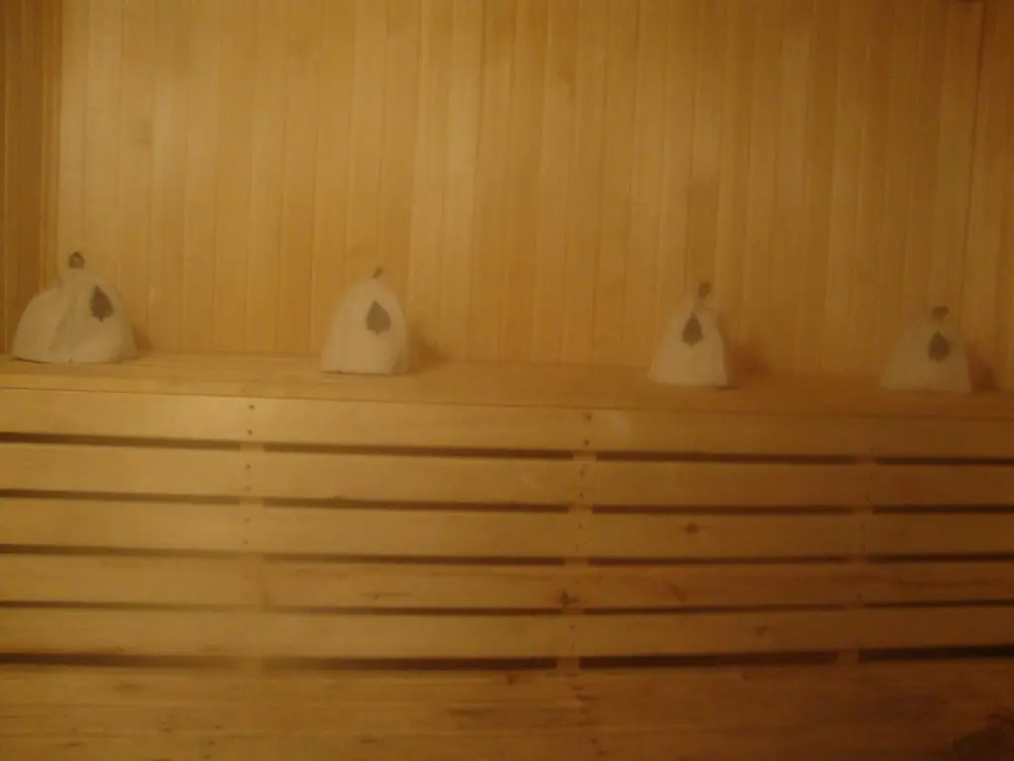 Guest house in Serebryaniy bor