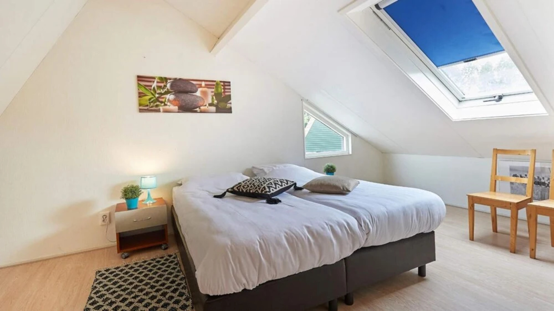 HVZ Iris Wellness 4p