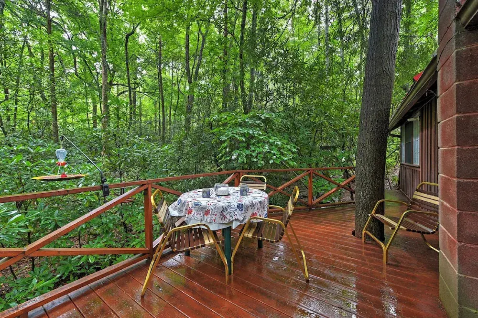 Serene Creekside Cottage Near Mount Pisgah!