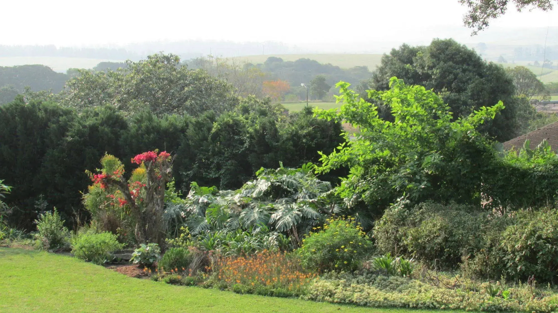 Sugar Hill Manor Guesthouse