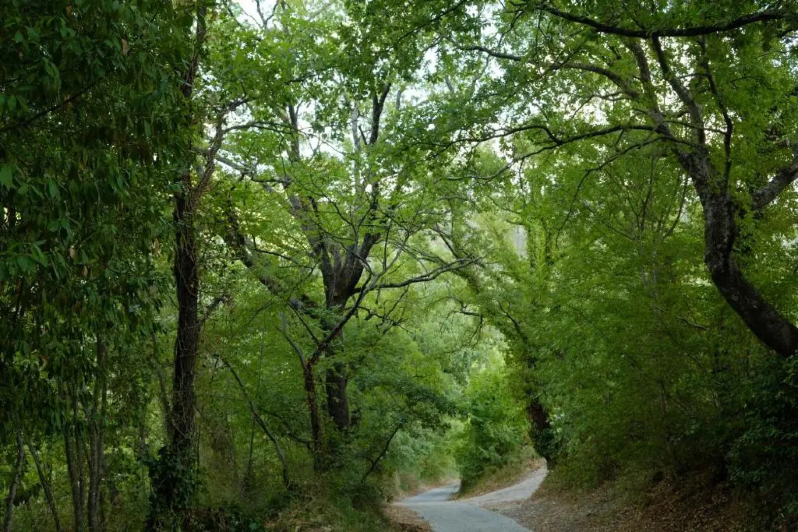 Agriturismo Il Casaletto