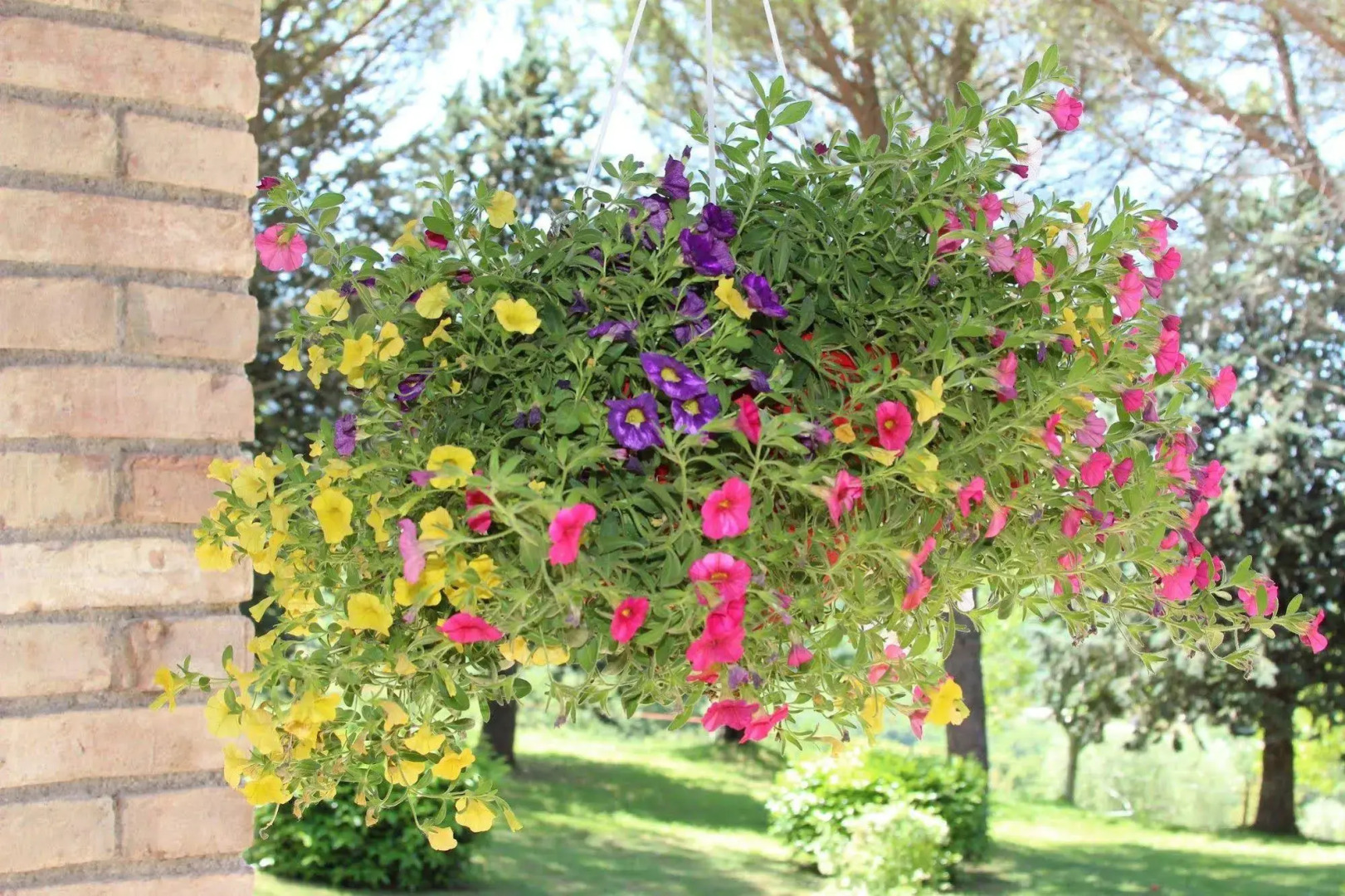 Relais Parco del Subasio