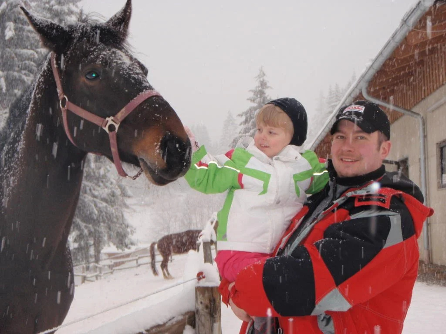 Familienhotel und Reiterparadies Ponyhof
