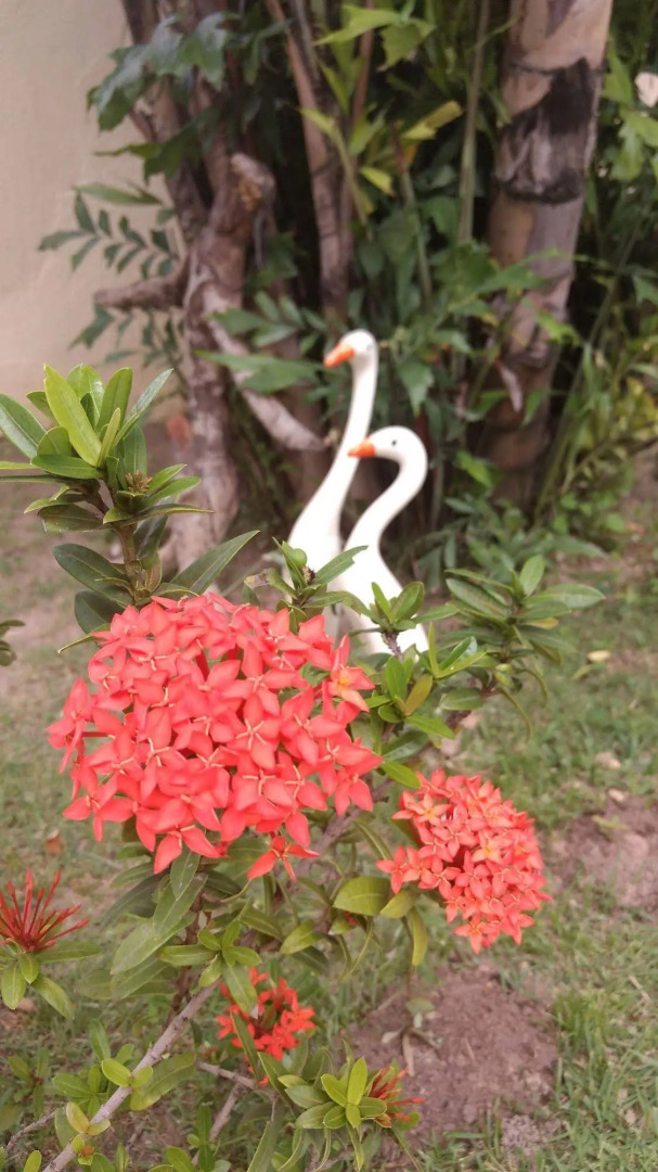 Pousada Flores do Mar