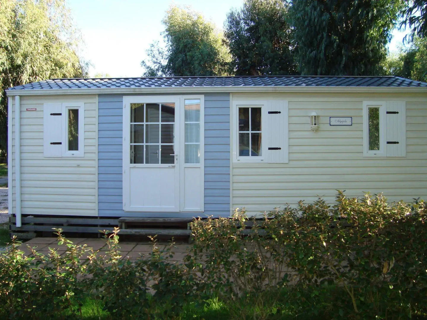 Camping International