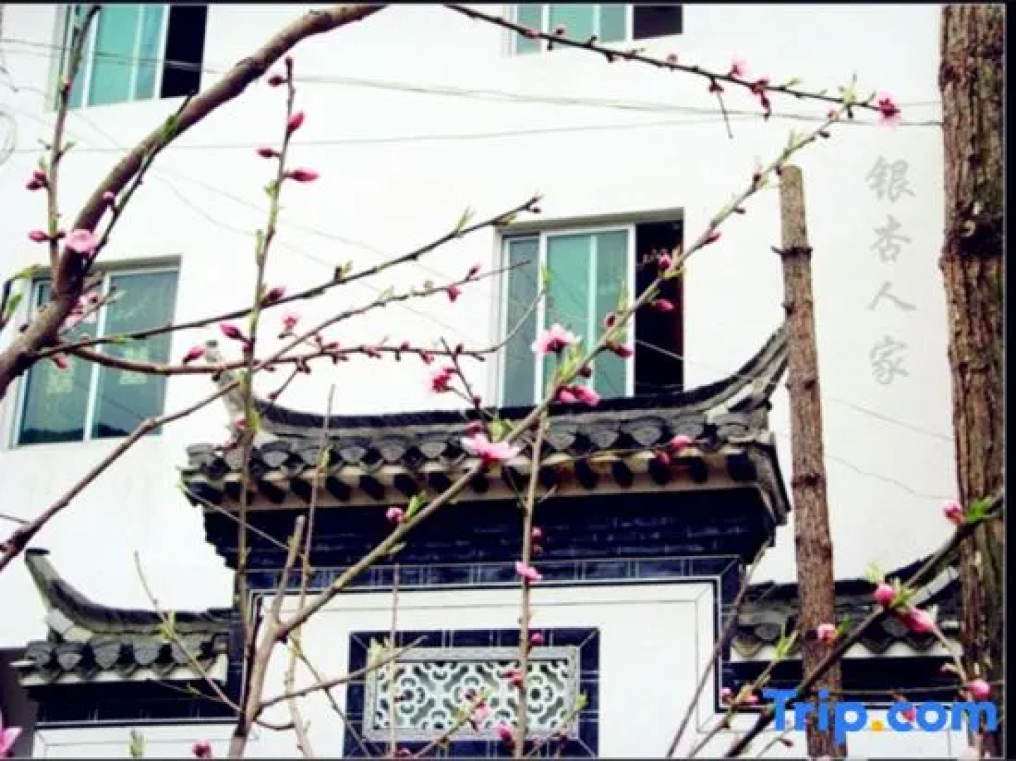 Qingyuan Yinxing Farm Stay