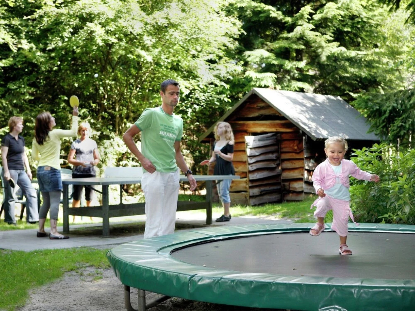 Beautiful Home With Lots of Privacy, in the Forest