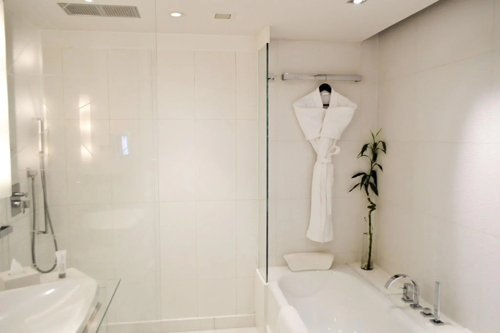 Pullman Gurgaon Central Park