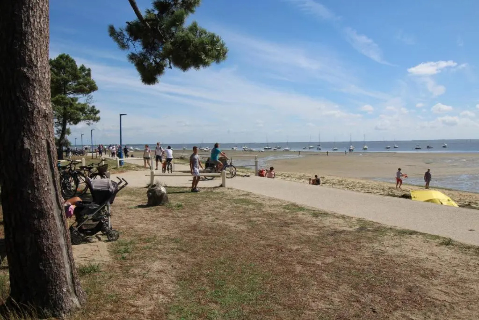 Appartement renove 3 chambres les pieds dans l eau