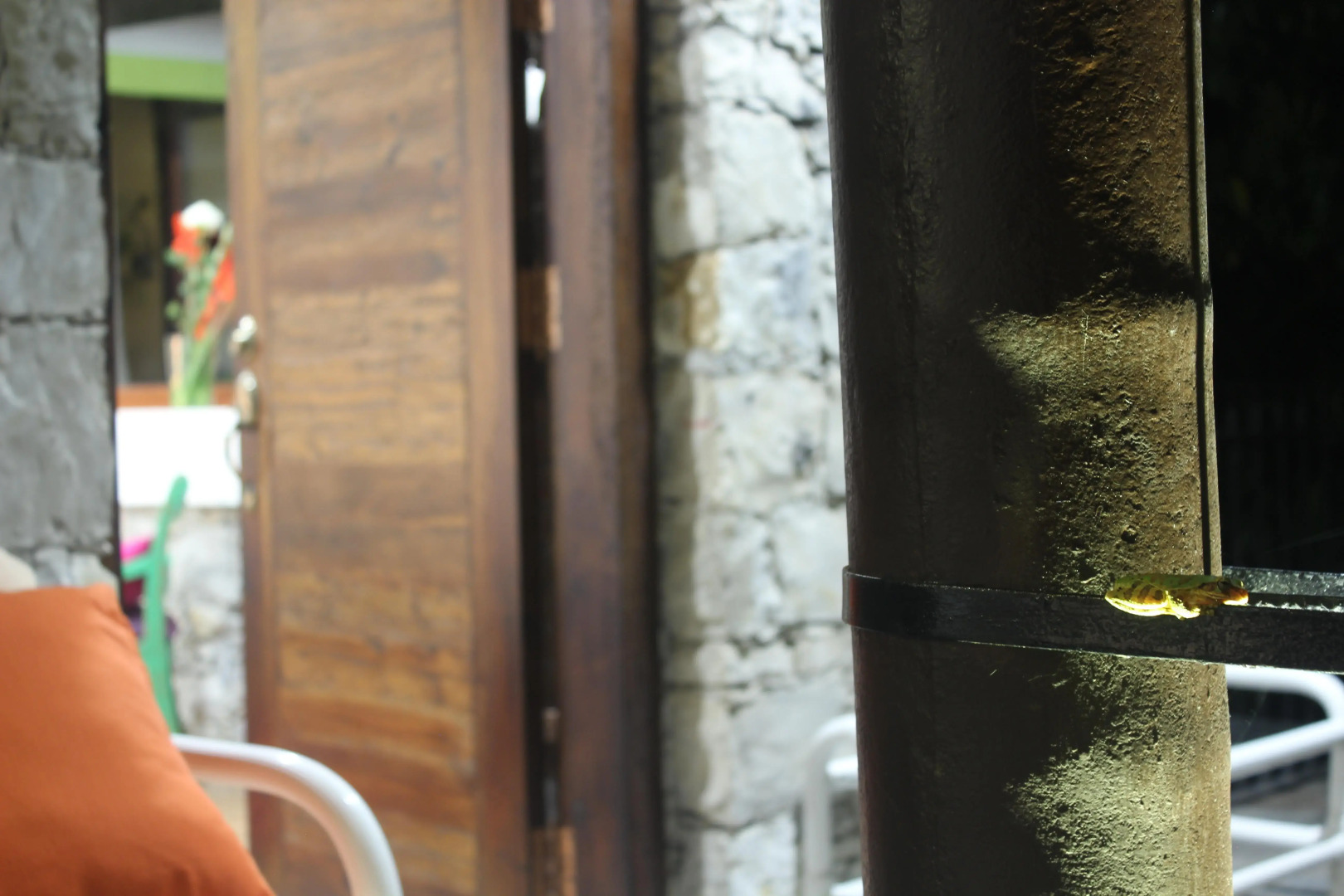 La Casona de Don Porfirio Hotel Boutique