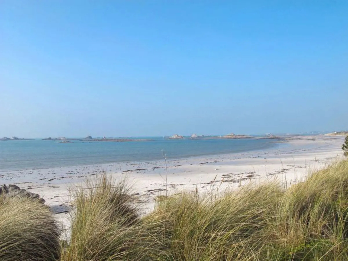 Ri?ve de Plage (TEC202)