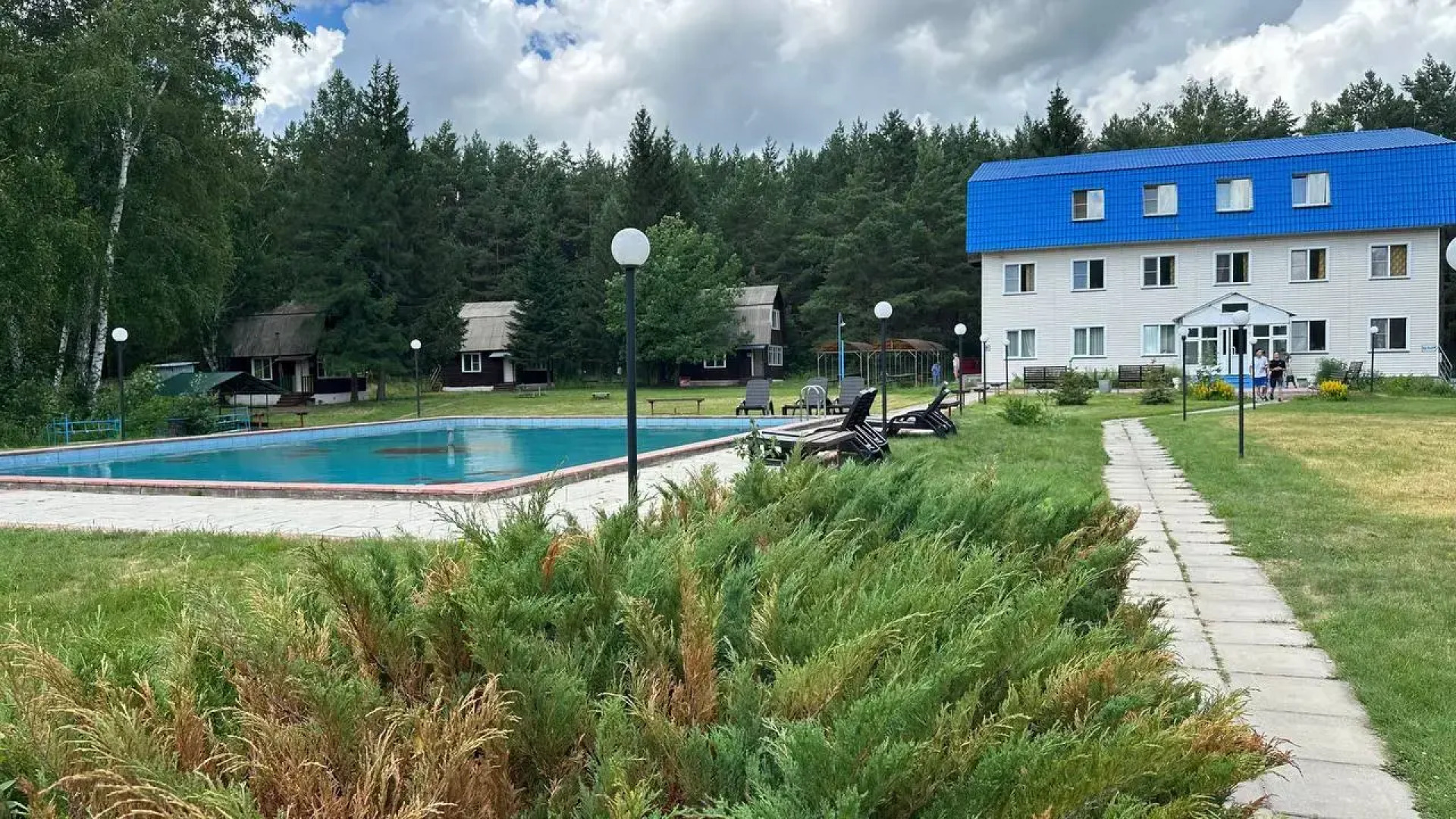 Зеленая поляна