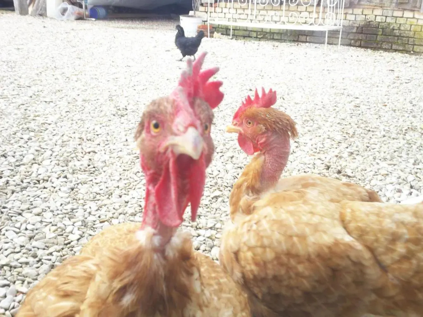 Chambre D'hotes Des P'tits Bonheurs