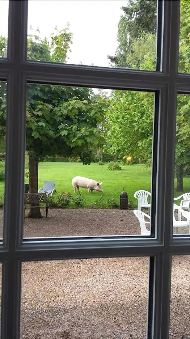 Le Domaine du Mijarnier